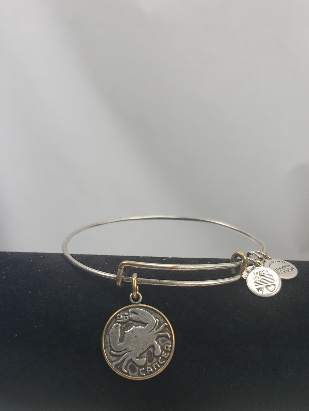 Alex and Ani Silver Tone Cancer Bracelet